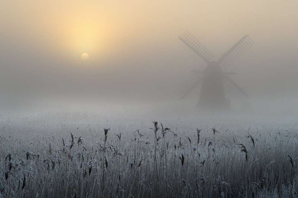 Nebbia - Inghilterra