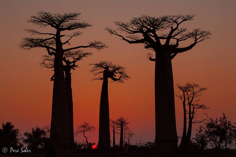 Coucher de soleil à Madagascar