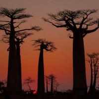Coucher de soleil à Madagascar