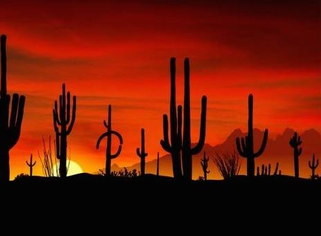 Coucher de soleil - Arizona