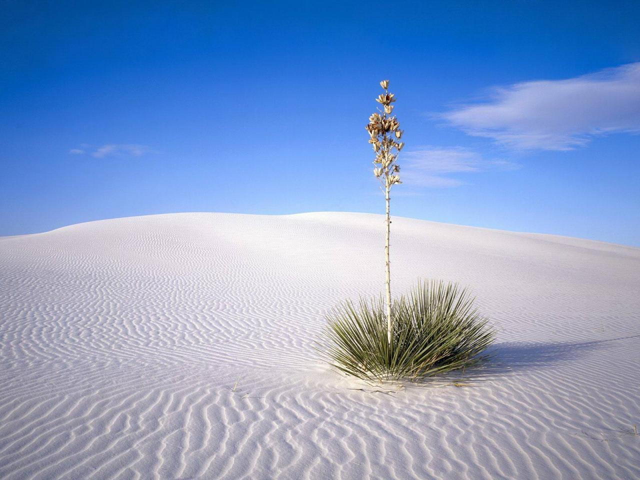 Desert bianco - Nuvo-Messico