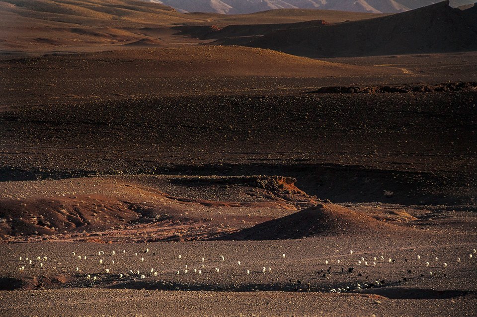 Deserto di Zagora - Marocco