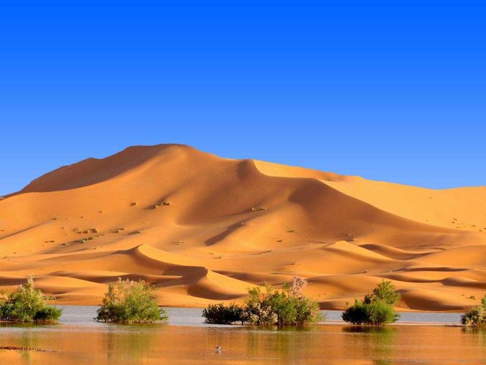 Désert du Sahara - Maroc