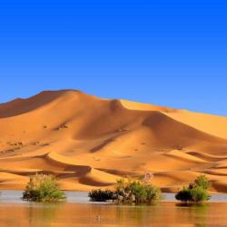 Désert du Sahara - Maroc