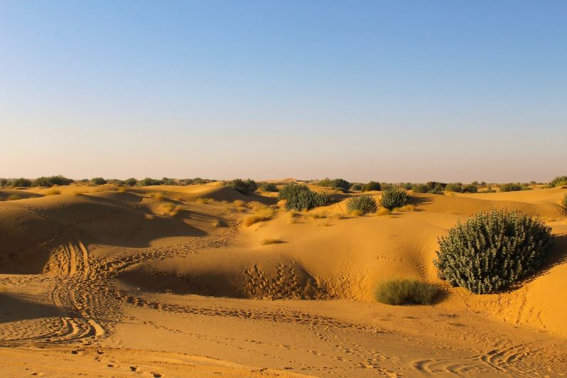 Deserto del Thar, Rajasthan - India
