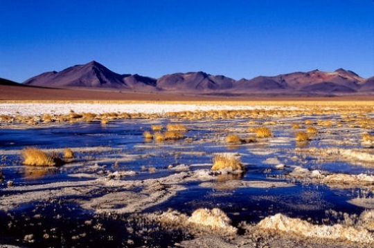 Deserto di Atacama - Cile