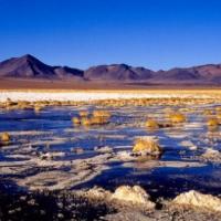 Désert d'Atacama - Chili