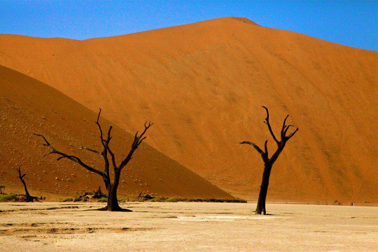 Deserto di Namibia