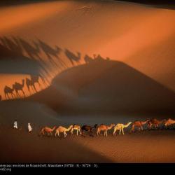 Deserto di Mauritania