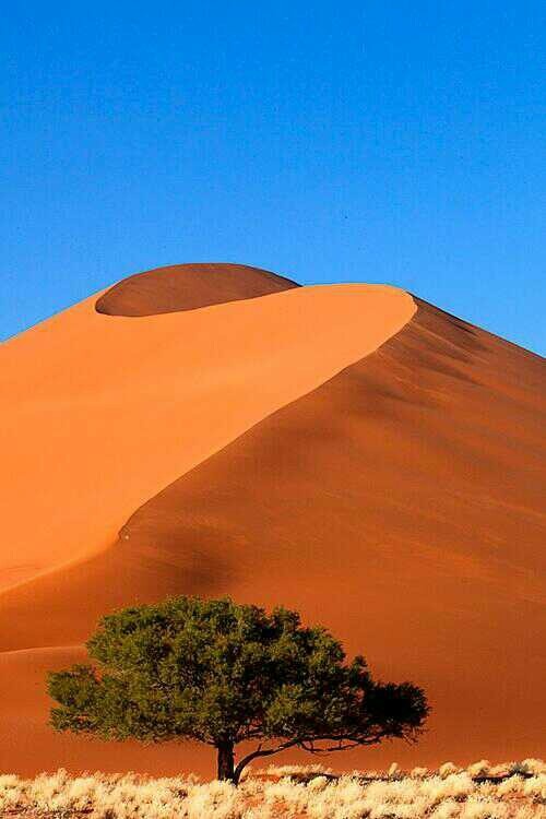 Dune de sable, Sossusvlei - Namibie