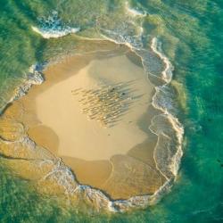La Grande Barriera Corallina - Australia