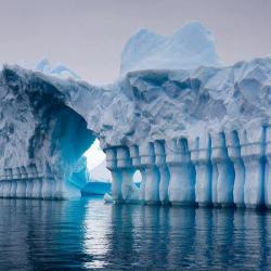 Baia Pleneau - Antartide