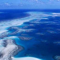 La Grande Barriera Corallina, Queensland - Australia
