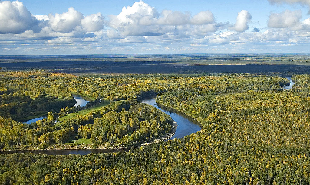 Il fiume Vassiougan e la taiga - Siberia