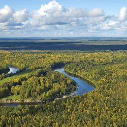 Il fiume Vassiougan e la taiga - Siberia
