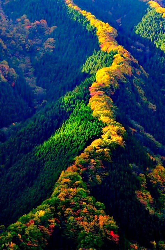 Montagna Tenkawa - Giappone
