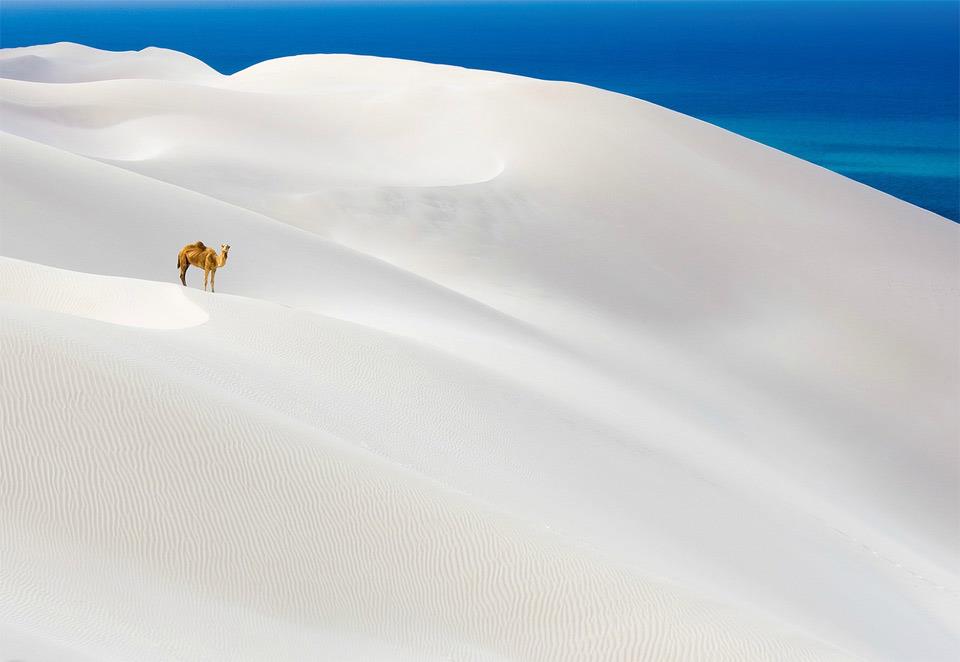 Désert de sable blanc, Socotra, - Yémen