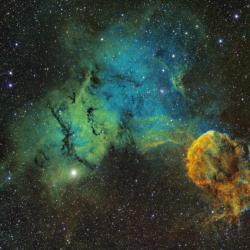 Nebulosa Medusa - Costellazione dei Gemelli