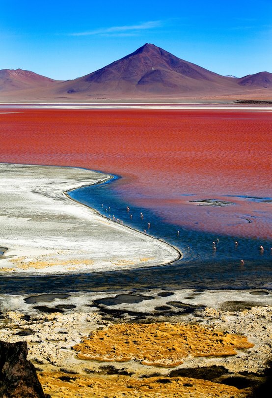 Lagune colorée, Uyuni - Bolivie