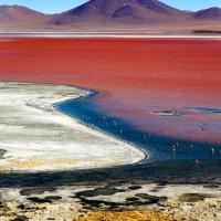 Laguna colorada, Uyuni - Bolivia