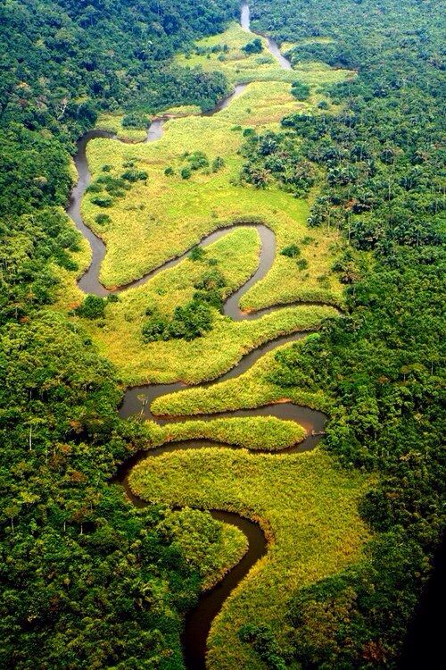 Il fiume Congo, Parco Nazionale della Salonga - Congo