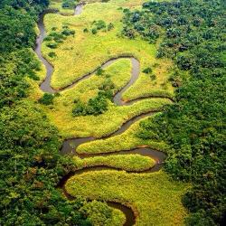 Le fleuve Congo, Parc National de la Salonga - Congo