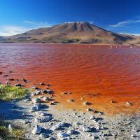 Le Lac Rouge - Bolivie