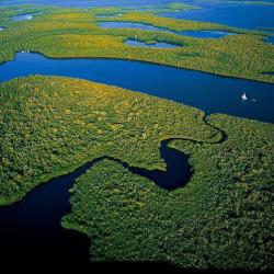 Mangroves, Parc National des Everglades - Floride