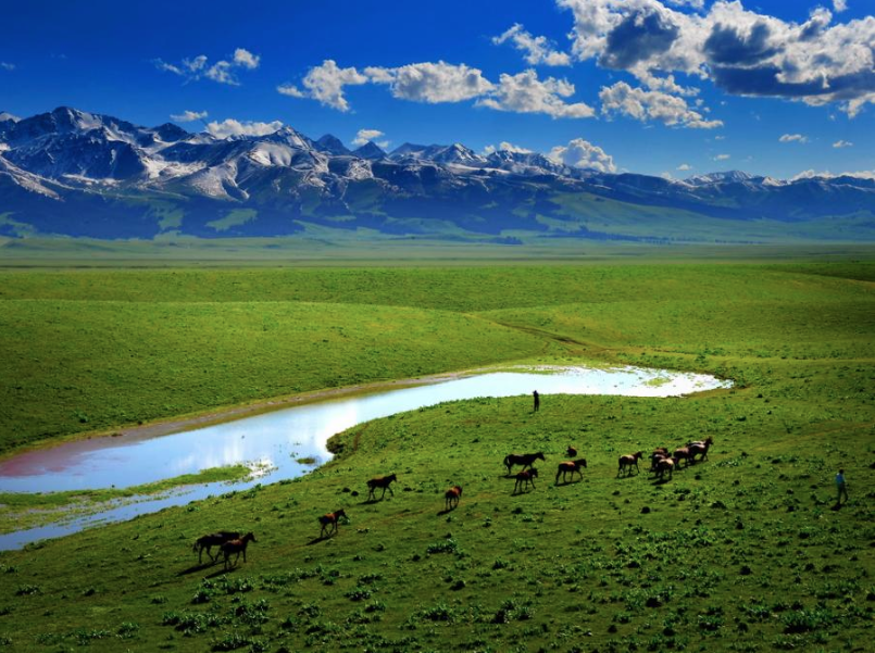 Plaine, Qarion - Mongolie