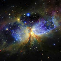 Nebulosa Sharpless - Costellazione del Cigno