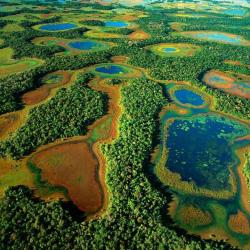 Pantanal - Brésil