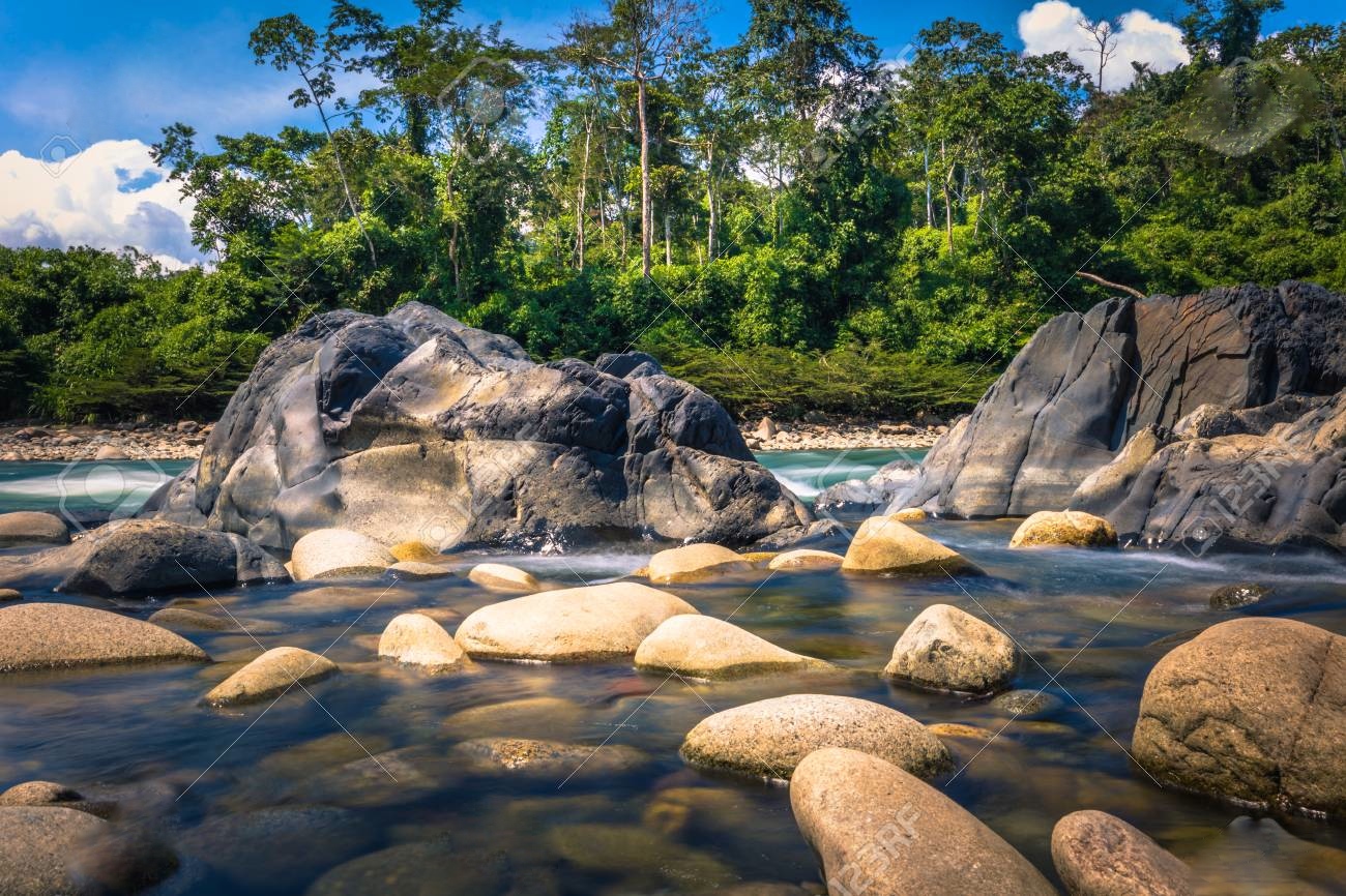 Parco Nazionale di Manu - Perù