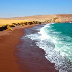 Spiaggia rossa di Paracas - Perù