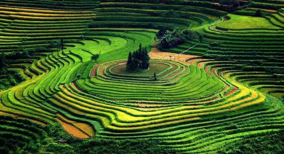 Rizières en terrasses, Longsheng - Chine