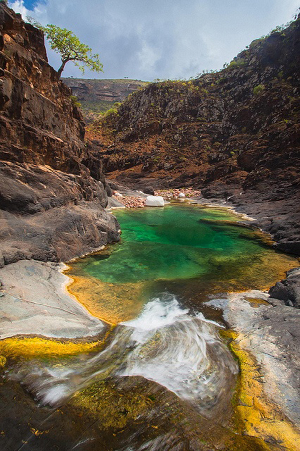 Wadi Ayhft, Plateau Dixam, Île de Socotra - Yemen