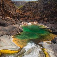 Wadi Ayhft, Plateau Dixam, Île de Socotra - Yemen