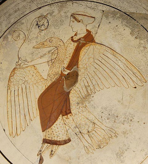Aphrodite sur son cygne me daillon d un kylix a fond blanc du peintre de pistoxe nos vers 460 av j c