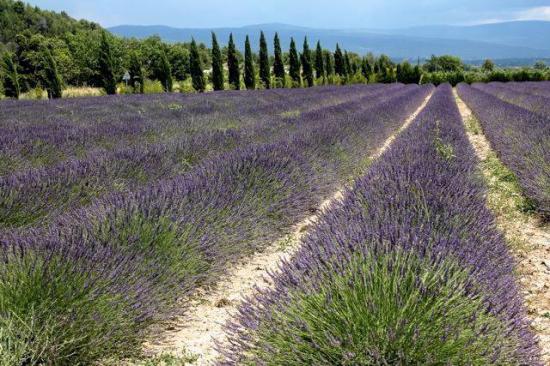 Provence - France