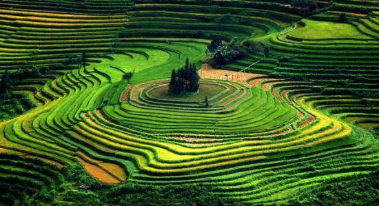 Rizières en terrasses, Longsheng - Chine