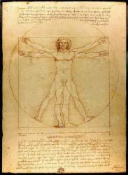 L'homme de Vitruve - Léonard de Vinci (vers 1492)