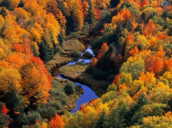 Paysage d'automne - Canada