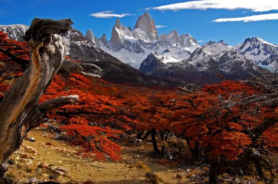 Le Mont Fitz Roy, Patagonie - Argentine