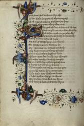 Le Roman de la Rose traduit en anglais par Geoffrey Chaucer,(1440).jpg