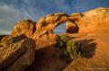 Parc national des arches utah