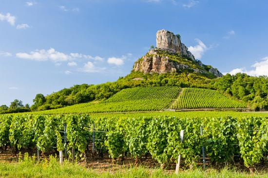 Roche de Solutré - Vignoble de Pouilly, Bourgogne - France