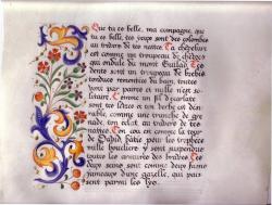 XIVe - XVIe siècle, Le Cantique des Cantiques ; gothique 