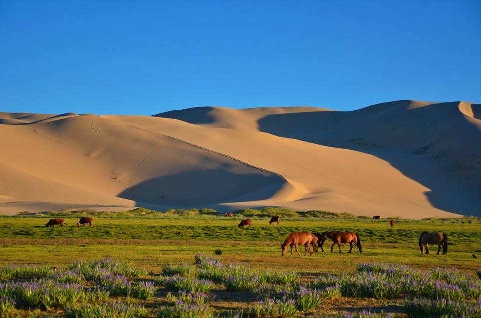 Deserto di Gobi - Cina