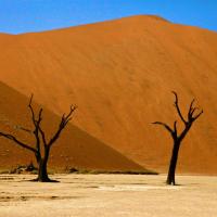 Désert de Namibie