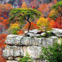 Parc de Falls Creek - Tennessee