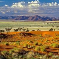 Tok Tokkie, Parco Nazionale del Namib